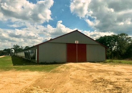 Poultry Breeder 2 House Farm for Sale South Mississippi - image 3