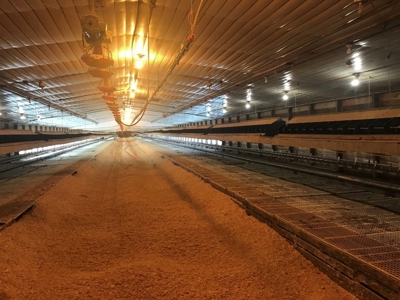 Poultry Breeder 2 House Farm for Sale South Mississippi - image 12