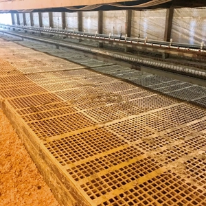 Poultry Breeder 2 House Farm for Sale South Mississippi - image 8