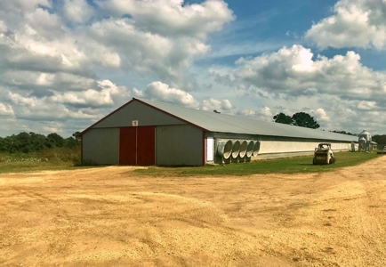Poultry Breeder 2 House Farm for Sale South Mississippi - image 1