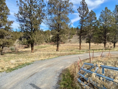 20+/-acres with Home and Seasonal Creek For Sale in Modoc! - image 14