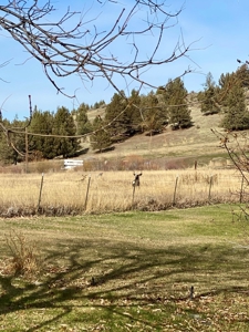 20+/-acres with Home and Seasonal Creek For Sale in Modoc! - image 11