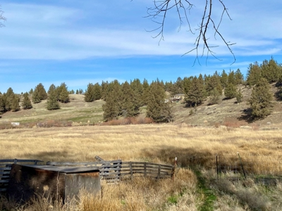 20+/-acres with Home and Seasonal Creek For Sale in Modoc! - image 18