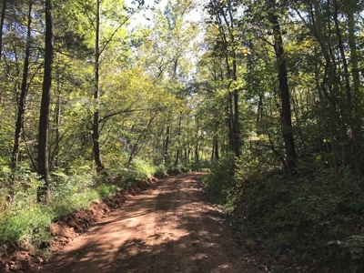 Acreage For Sale in Newton County Alpena Ar Ozark Mountains - image 1