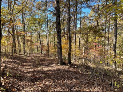 Land For Sale In Eminence Mo-Hunting, Recreational, River - image 24