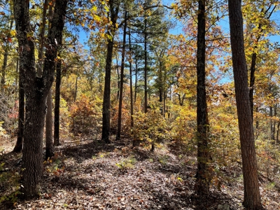 Land For Sale In Eminence Mo-Hunting, Recreational, River - image 17