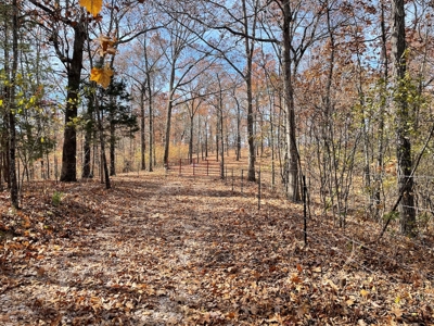 Land For Sale In Eminence Mo-Hunting, Recreational, River - image 25