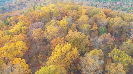 Land For Sale In Eminence Mo-Hunting, Recreational, River - image 5