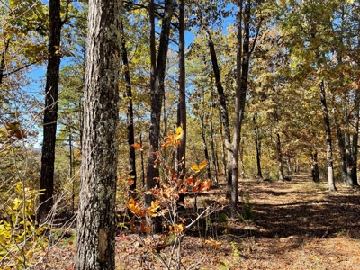 Land For Sale In Eminence Mo-Hunting, Recreational, River - image 16