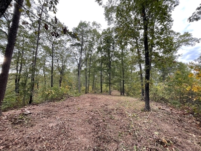 Land For Sale In Eminence Mo-Hunting, Recreational, River - image 8