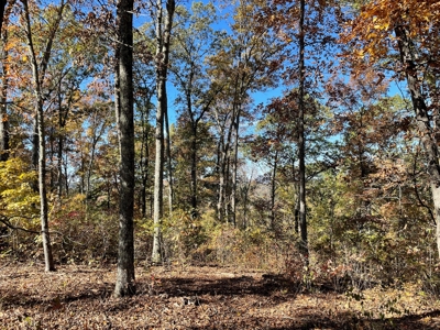 Land For Sale In Eminence Mo-Hunting, Recreational, River - image 23