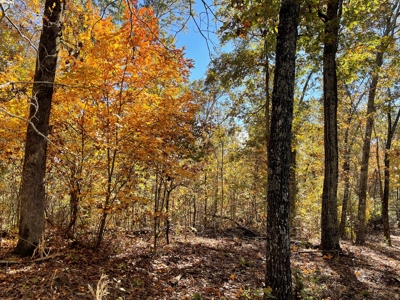 Land For Sale In Eminence Mo-Hunting, Recreational, River - image 20