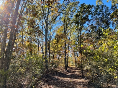 Land For Sale In Eminence Mo-Hunting, Recreational, River - image 21