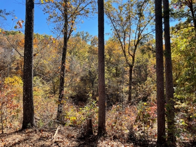 Land For Sale In Eminence Mo-Hunting, Recreational, River - image 19