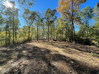 Land For Sale In Eminence Mo-Hunting, Recreational, River - image 13