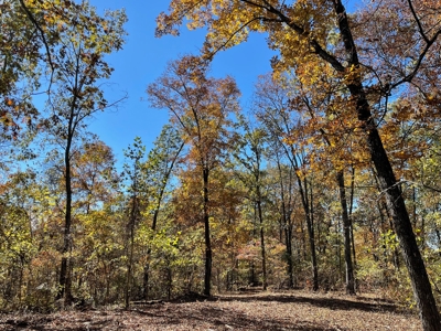 Land For Sale In Eminence Mo-Hunting, Recreational, River - image 22