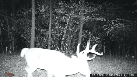 Land For Sale In Eminence Mo-Hunting, Recreational, River - image 7