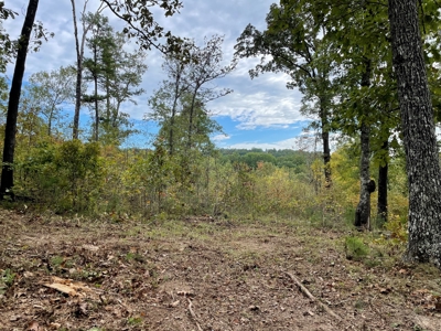 Land For Sale In Eminence Mo-Hunting, Recreational, River - image 9