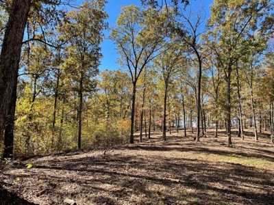 Land For Sale In Eminence Mo-Hunting, Recreational, River - image 14