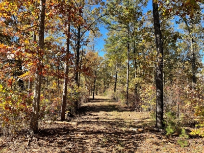 Land For Sale In Eminence Mo-Hunting, Recreational, River - image 18