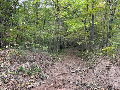 Land For Sale In Eminence Mo-Hunting, Recreational, River - image 10