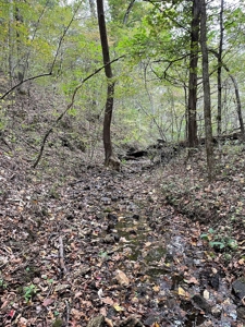 Land For Sale In Eminence Mo-Hunting, Recreational, River - image 12