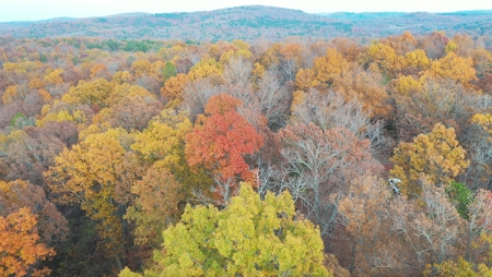 Land For Sale In Eminence Mo-Hunting, Recreational, River - image 3