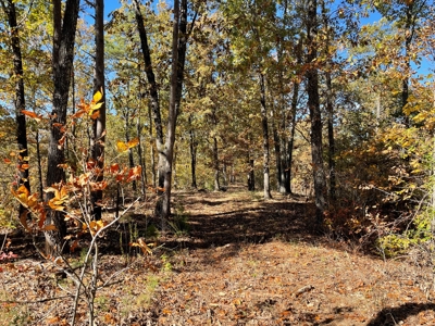 Land For Sale In Eminence Mo-Hunting, Recreational, River - image 15