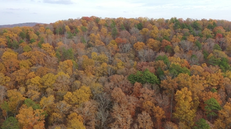 Land For Sale In Eminence Mo-Hunting, Recreational, River - image 2
