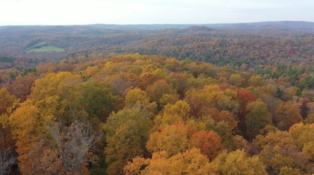 Land For Sale In Eminence Mo-Hunting, Recreational, River - image 4