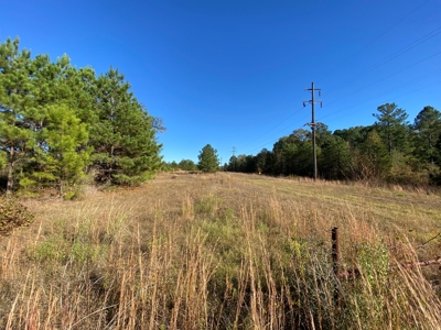 Country Land For Sale, Harrison County, Marshall, TX - image 27