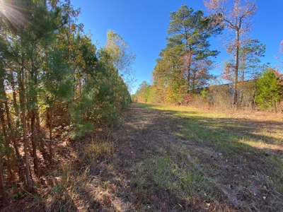 Country Land For Sale, Harrison County, Marshall, TX - image 14