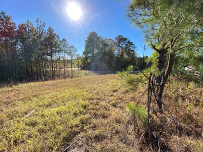 Country Land For Sale, Harrison County, Marshall, TX - image 26