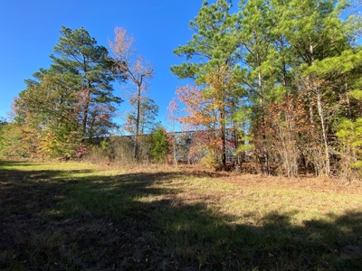 Country Land For Sale, Harrison County, Marshall, TX - image 13
