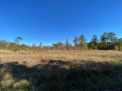 Country Land For Sale, Harrison County, Marshall, TX - image 17