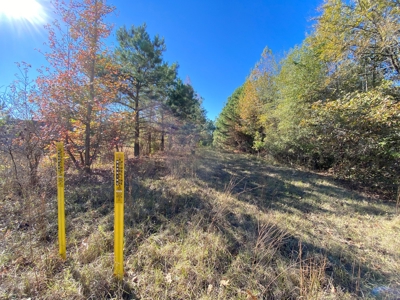 Country Land For Sale, Harrison County, Marshall, TX - image 6