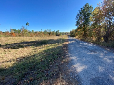 Country Land For Sale, Harrison County, Marshall, TX - image 15