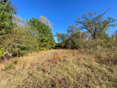Country Land For Sale, Harrison County, Marshall, TX - image 7
