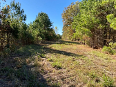 Country Land For Sale, Harrison County, Marshall, TX - image 9