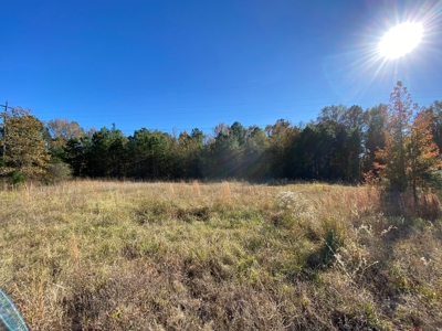 Country Land For Sale, Harrison County, Marshall, TX - image 30