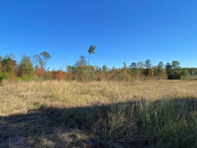 Country Land For Sale, Harrison County, Marshall, TX - image 23