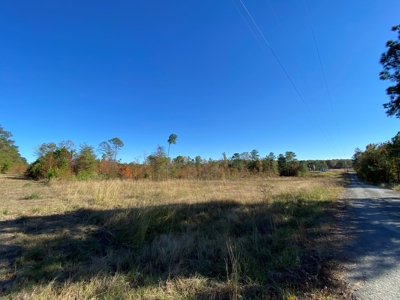 Country Land For Sale, Harrison County, Marshall, TX - image 16