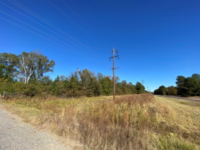 Country Land For Sale, Harrison County, Marshall, TX - image 4
