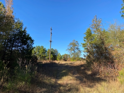 Country Land For Sale, Harrison County, Marshall, TX - image 40