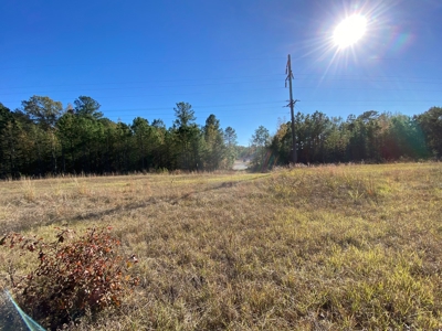 Country Land For Sale, Harrison County, Marshall, TX - image 28