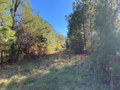 Country Land For Sale, Harrison County, Marshall, TX - image 10