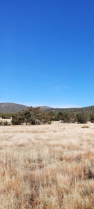Gorgeous Property - image 11
