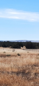 Gorgeous Property - image 2