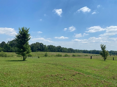 Cattle Farm For Sale In Tn, 55 Acres+/-, Fenced Pasture - image 2