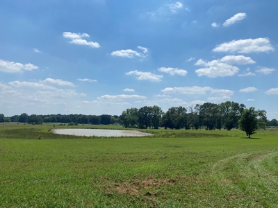 Cattle Farm For Sale In Tn, 55 Acres+/-, Fenced Pasture - image 3